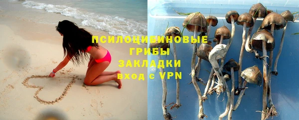 a pvp Алексин