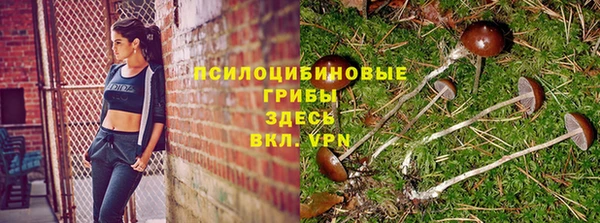 a pvp Алексин